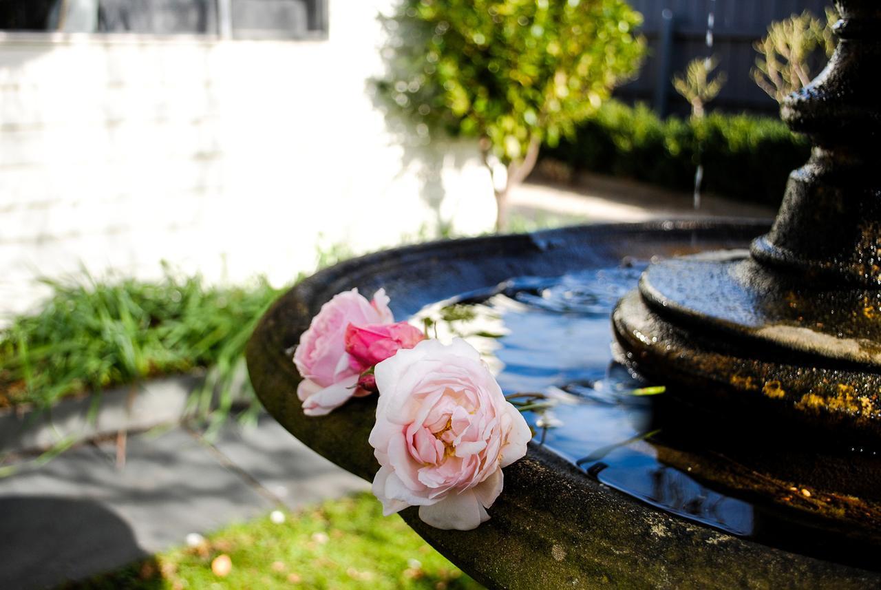 Bed Of Roses Villa Apollo Bay Luaran gambar